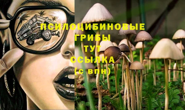 гидра Алексеевка