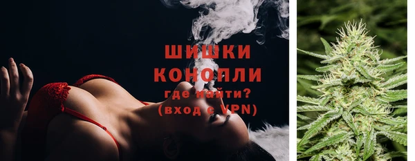 гидра Алексеевка