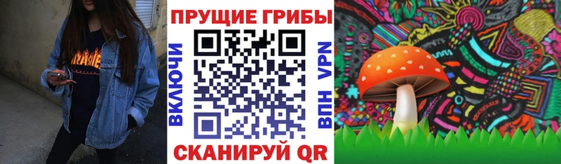 Галлюциногенные грибы Psilocybe  наркошоп  Безенчук 
